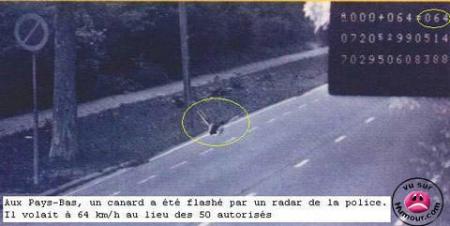 attention radar